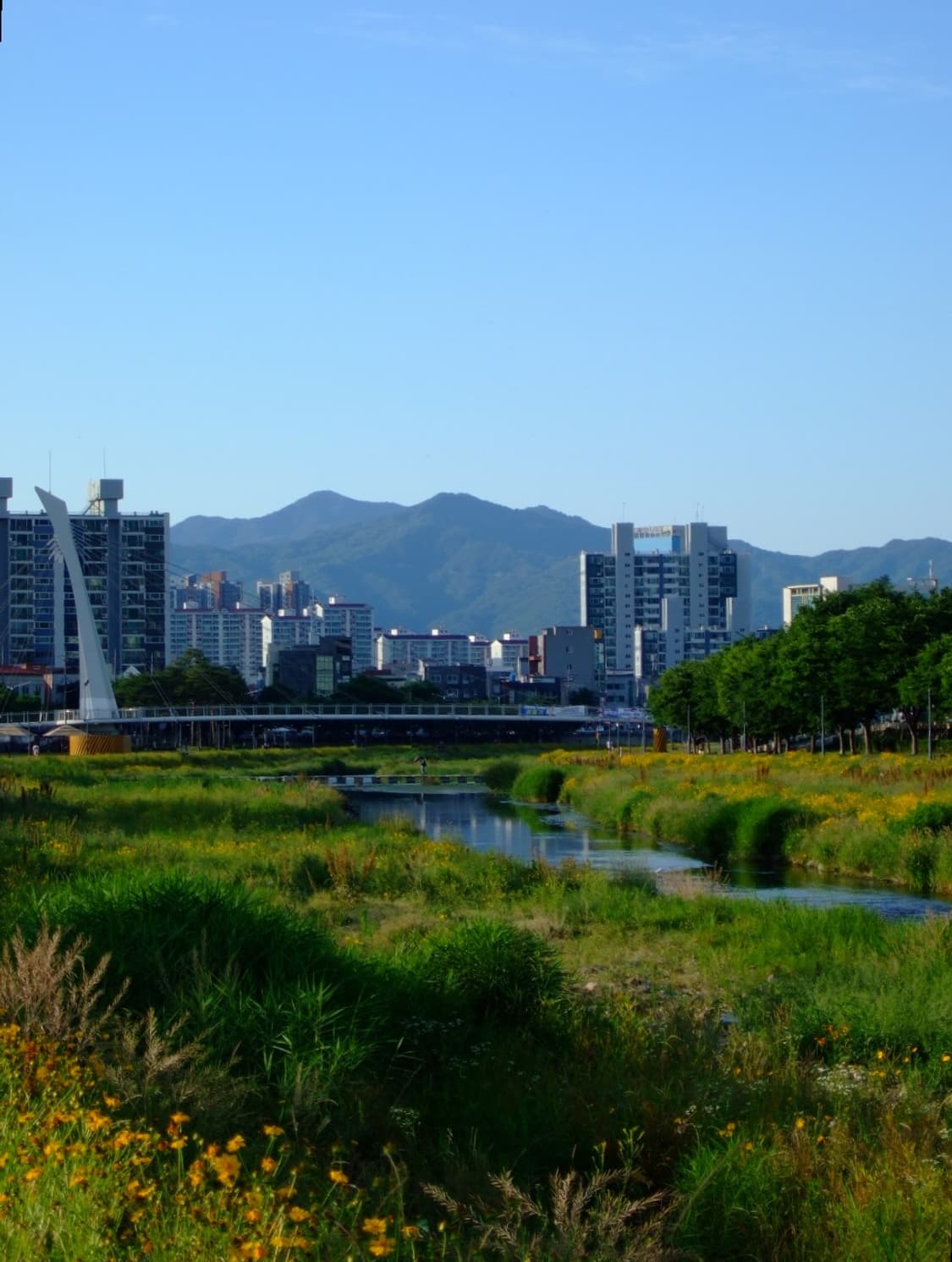 작례o) 후지필름 f31fd fujifilm 빈티지 디지털 카메라 디카 상품이미지8