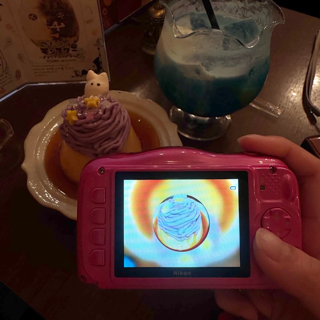 닌텐도 모양💖방수가능 쿨픽스 w100 / Nikon coolpix 상품이미지6