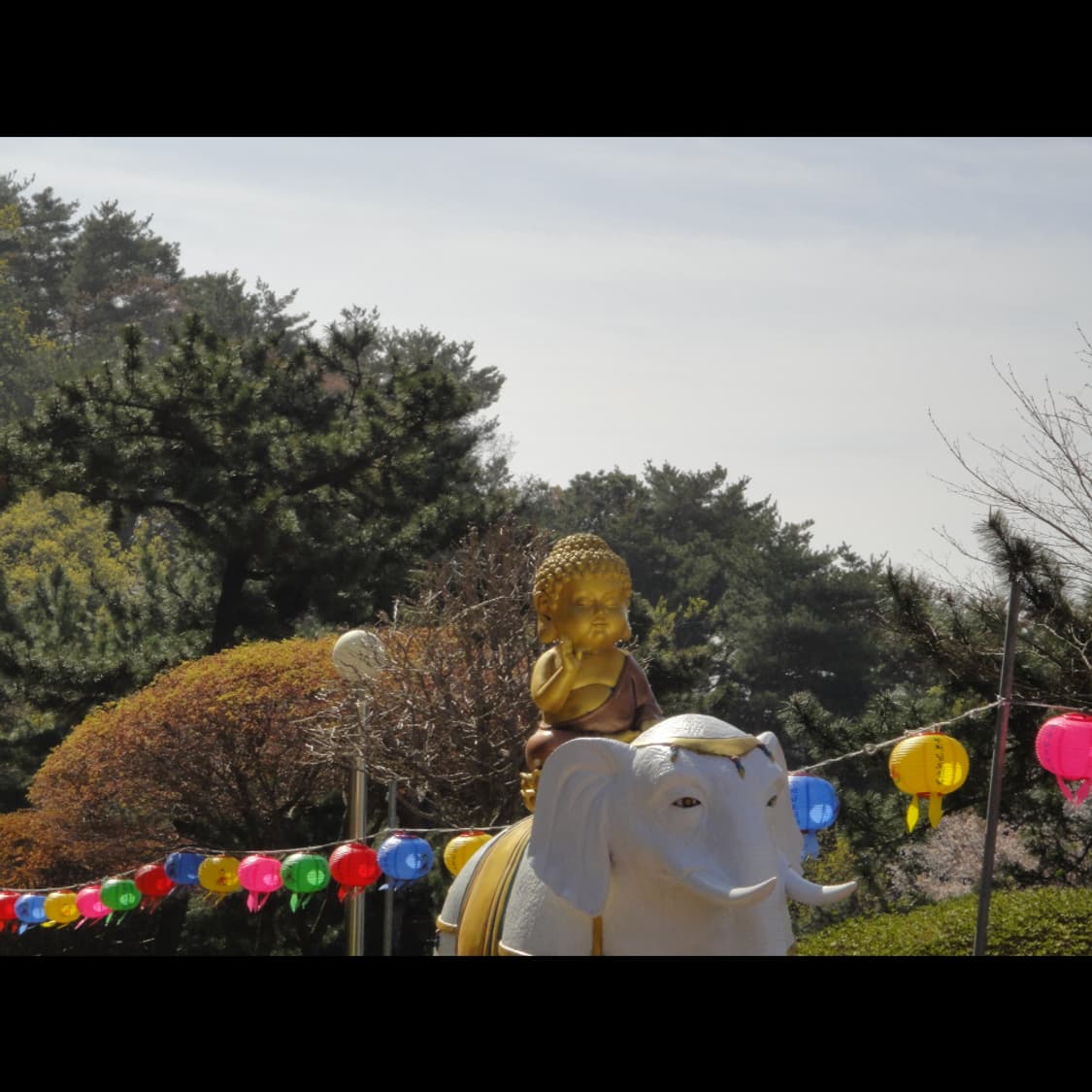 작례⭕️ 소니 사이버샷 DSC-TX5 상품이미지6