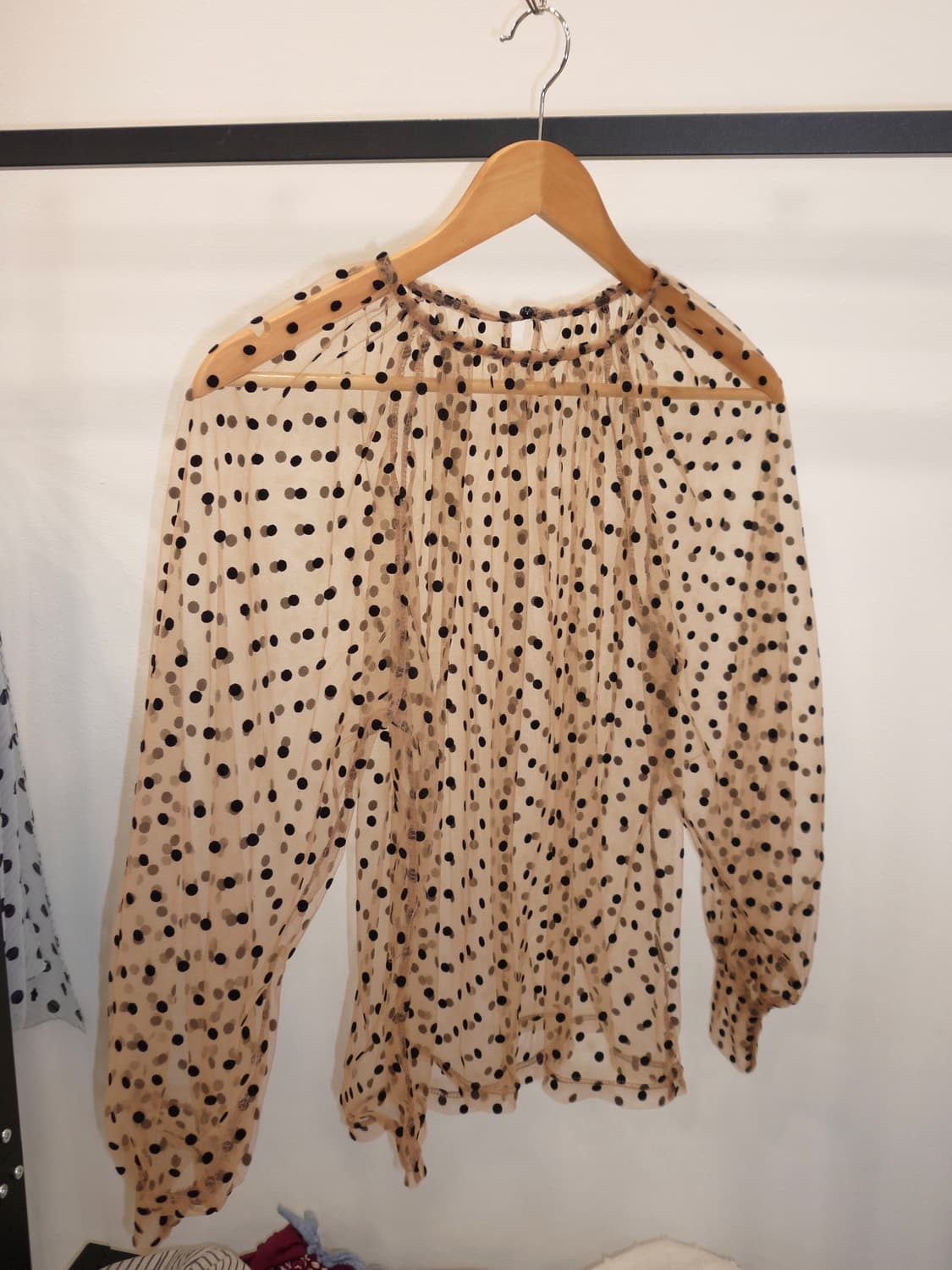 Dot sheer blouse 상품이미지3