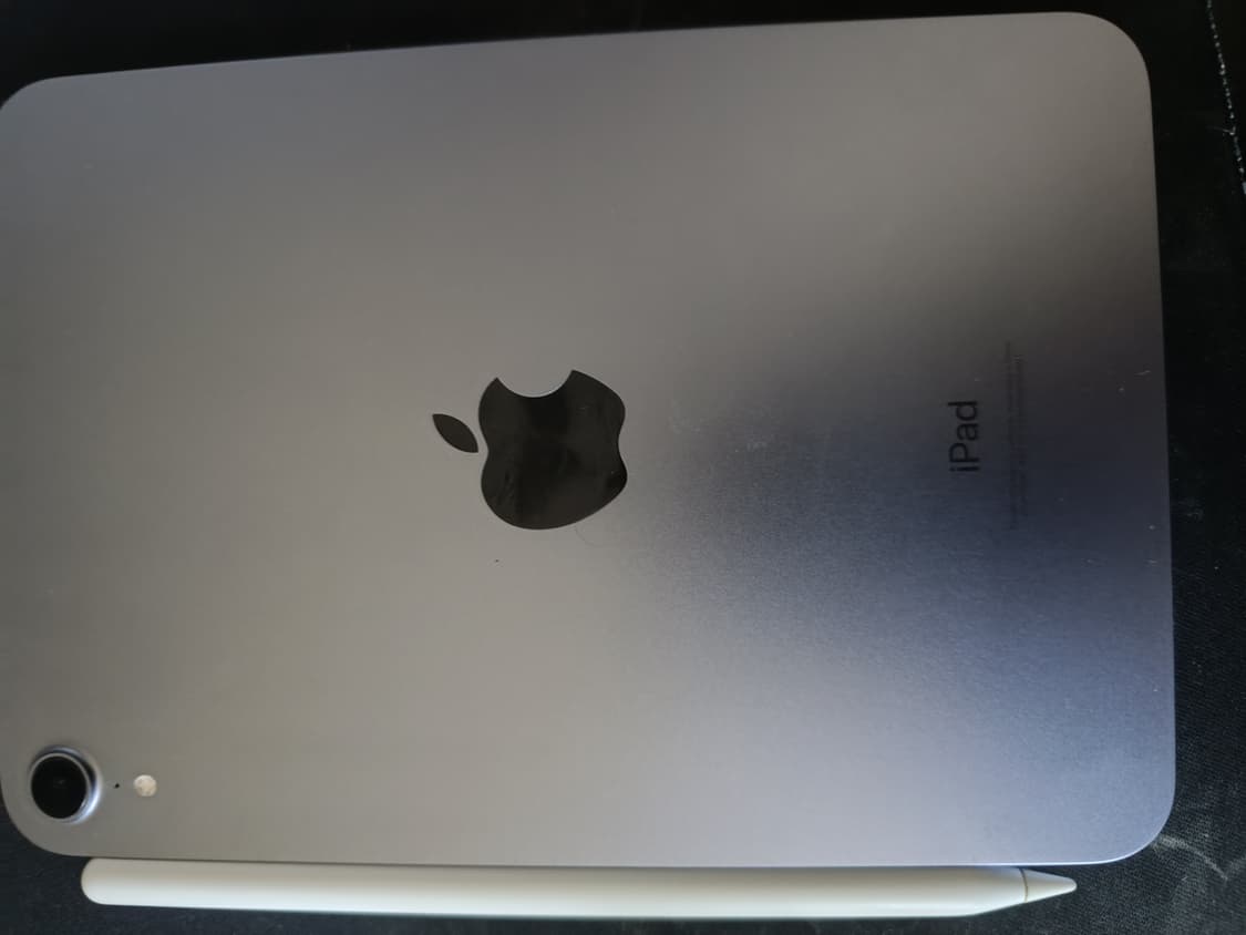 (배터리 효율81%)아이패드 미니6 256 wifl+ 애플펜슬2 상품이미지3