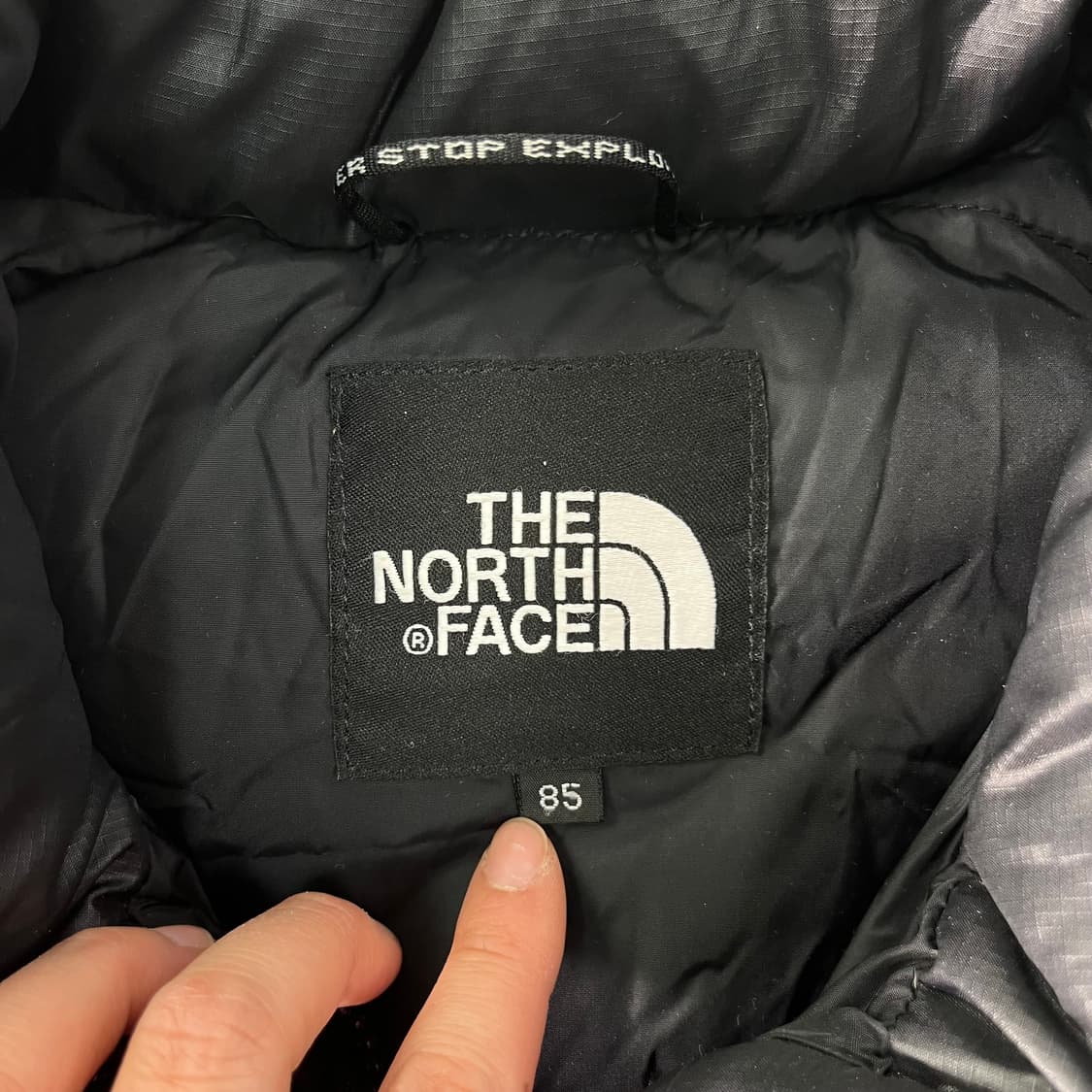 W 100 노스페이스 1996 눕시 700 패딩 상품이미지3