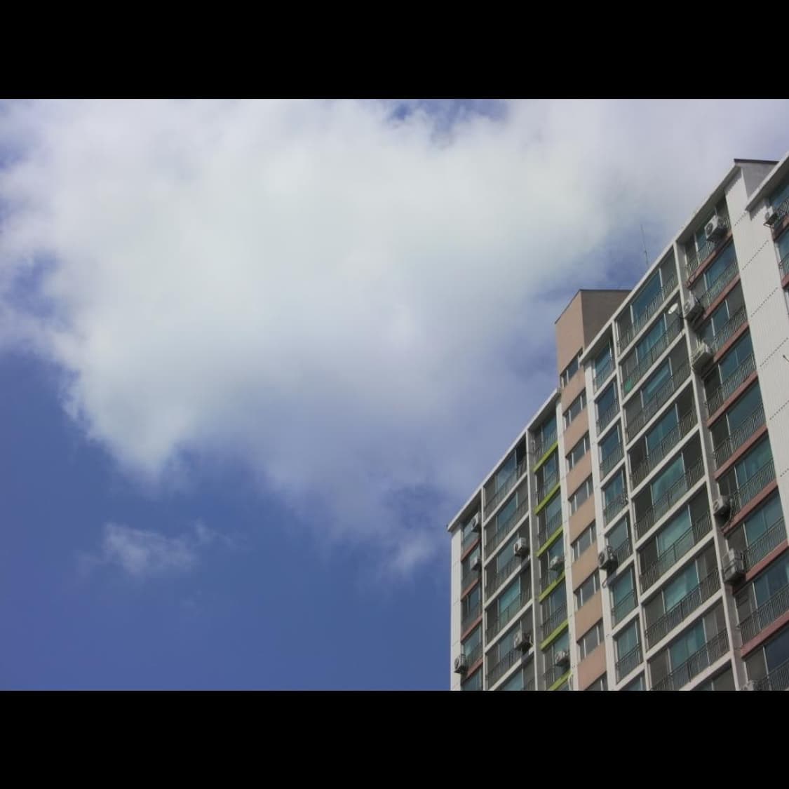 감성을 산요 작티 CA100 플라밍고 글로우🦩 빈티지 디카 디지털카메 상품이미지3