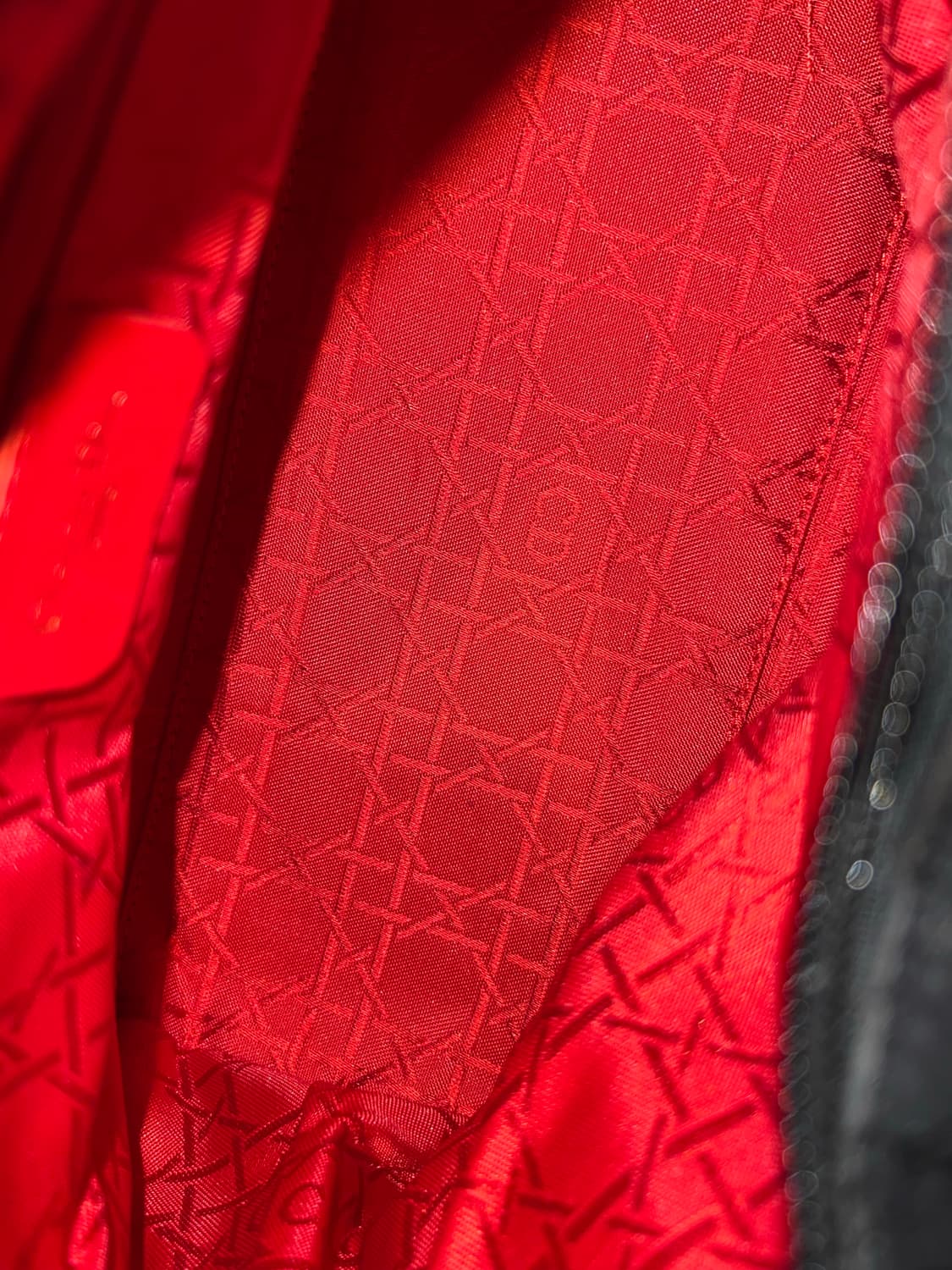 디올 레이디백 까나쥬 미디움 상품이미지8