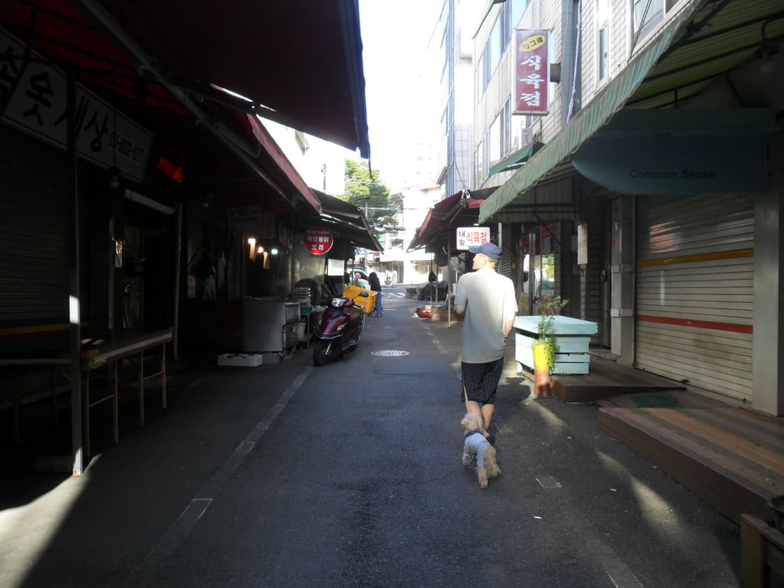 삼성 ES25 디지털카메라  상품이미지8
