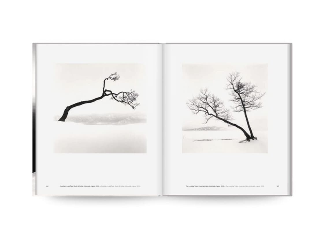 미개봉 / Michael Kenna Trees 마이클케냐 사진집 상품이미지5