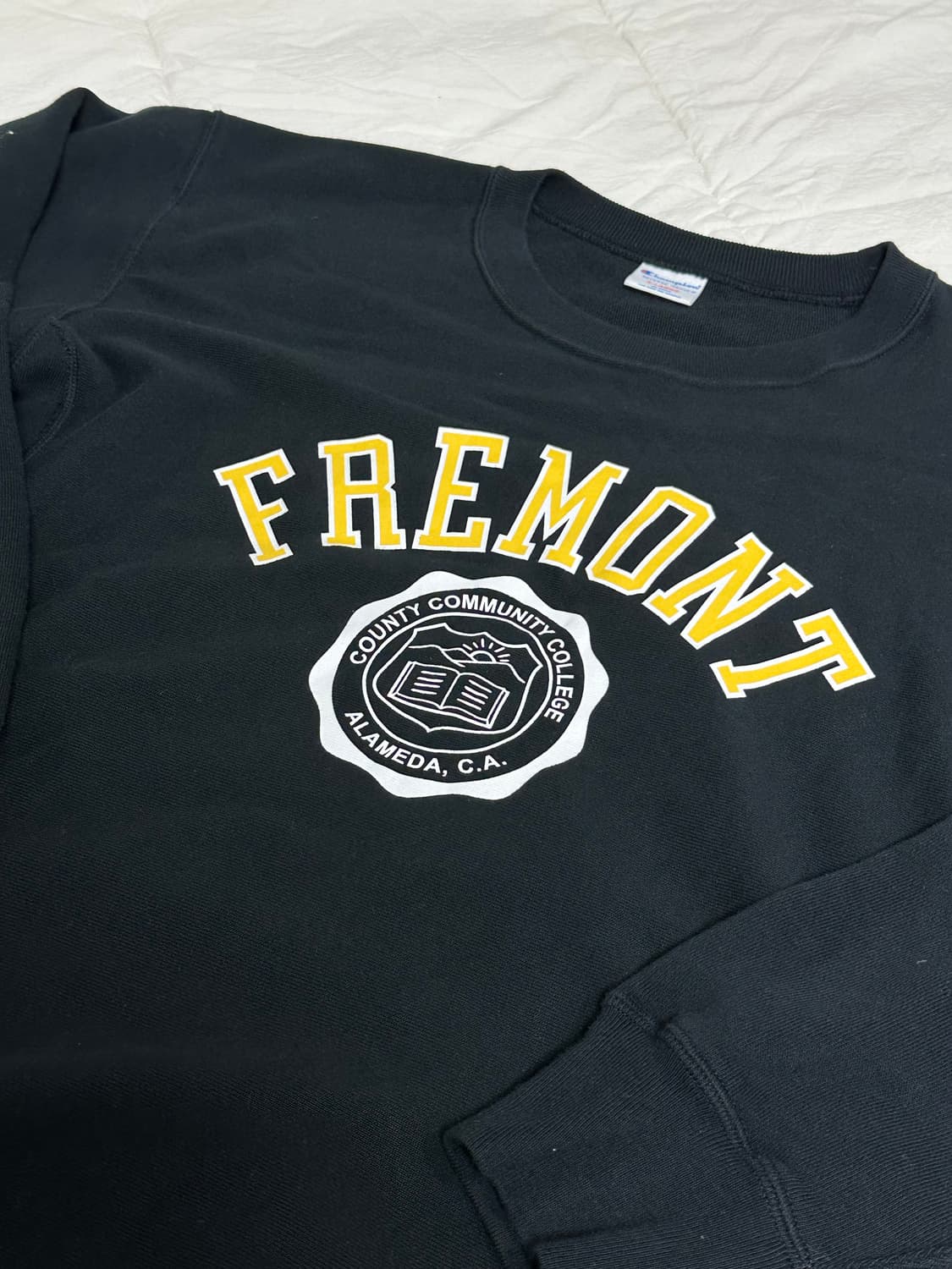 챔피온 리버스위브 프리몬트 컬리지 맨투맨 라지 상품이미지4