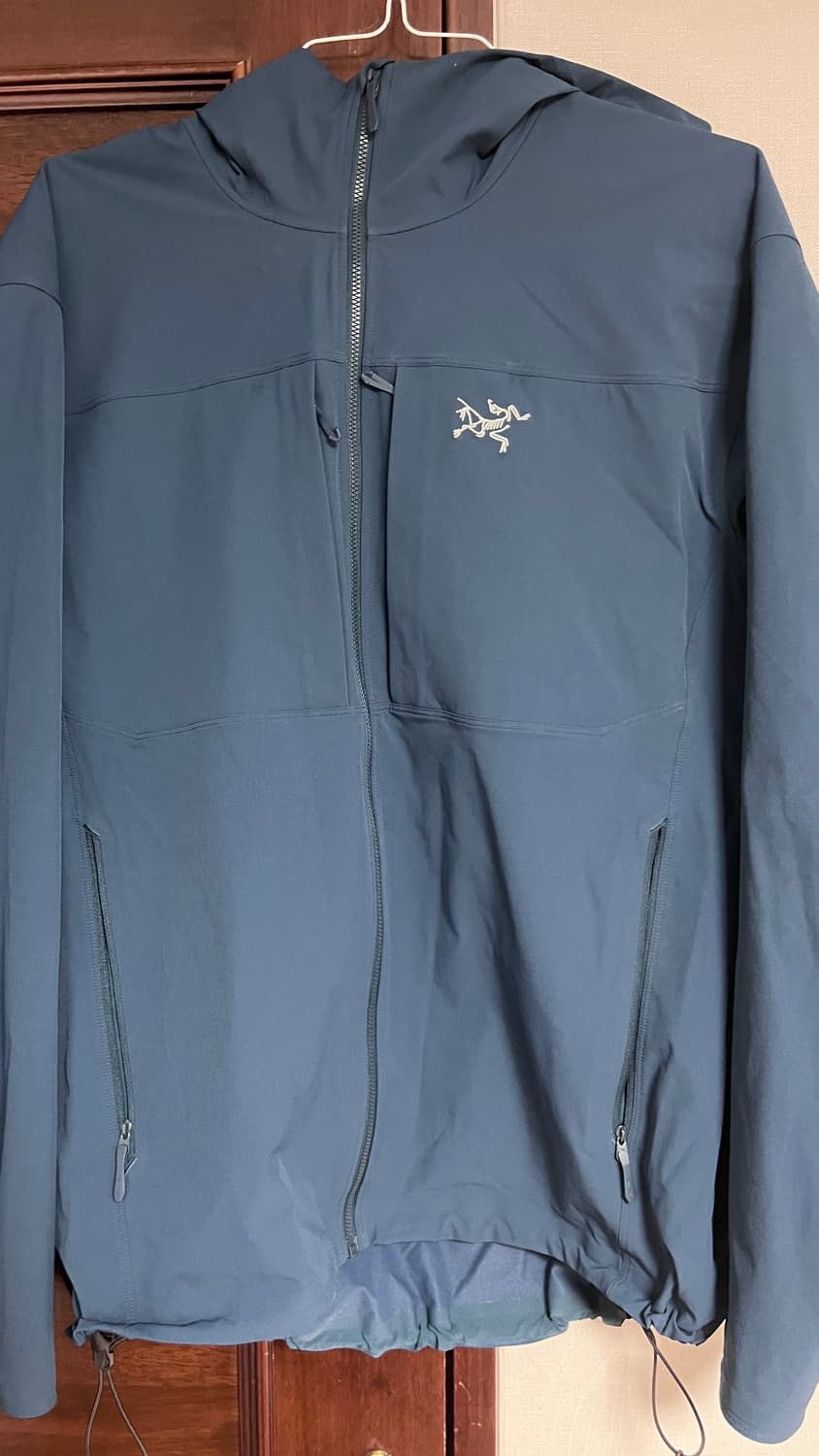 아크테릭스 감마후디 상품이미지2