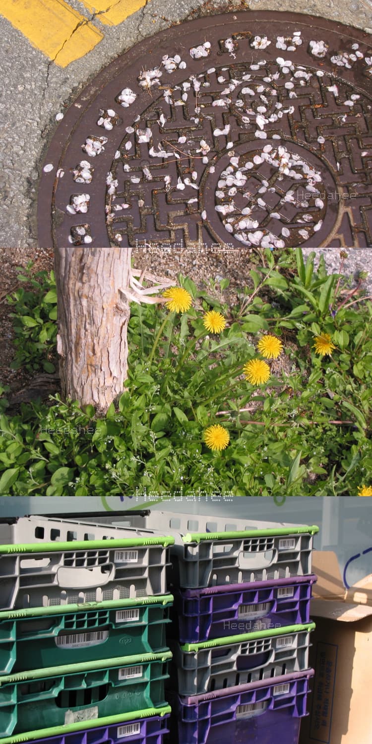 풀박 레어❗️ 캐논 파워샷 S40 / 작례⭕️ / 필름 빈티지 감성 상품이미지3