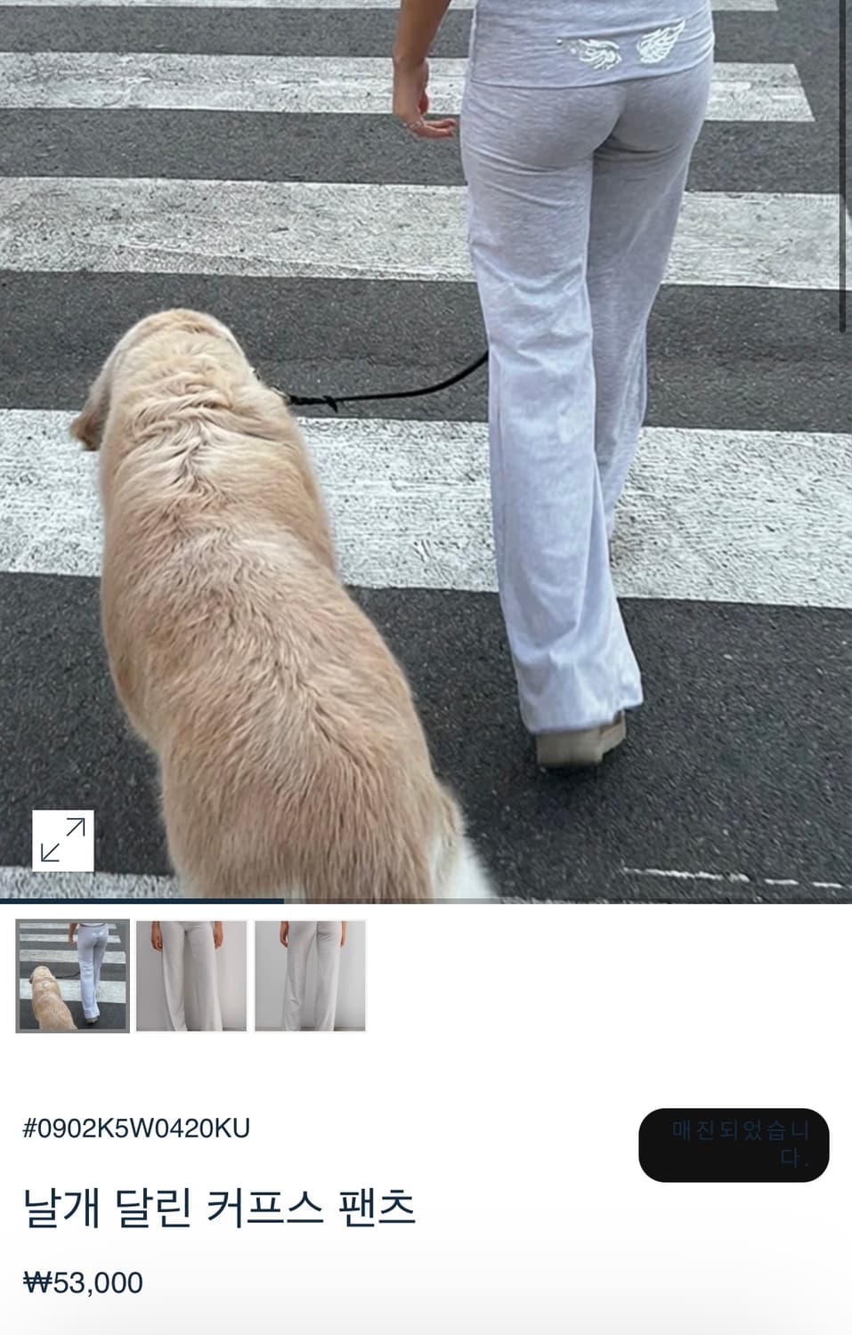 텍ㅇ) subdued 섭듀드 윙즈 날개달린 커브스팬츠 M 그레이 상품이미지1