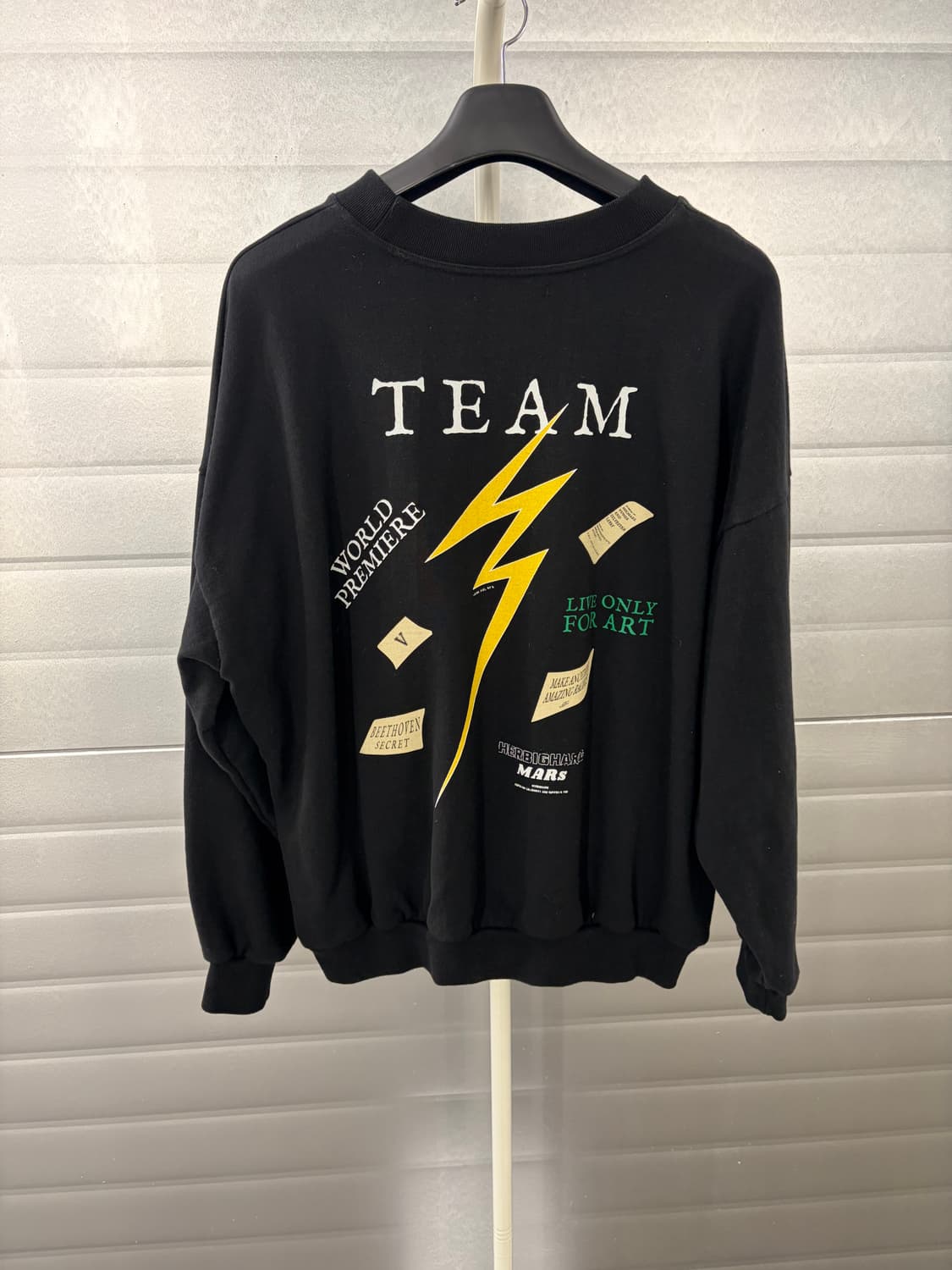 HERBIGHARO 박효신 베토벤 허비그하로 맨투맨 상품이미지5