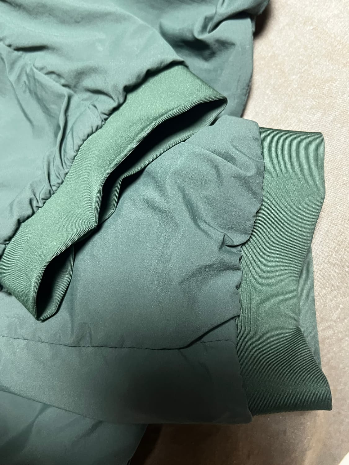 아크테릭스 프로톤 FL 후디 상품이미지3