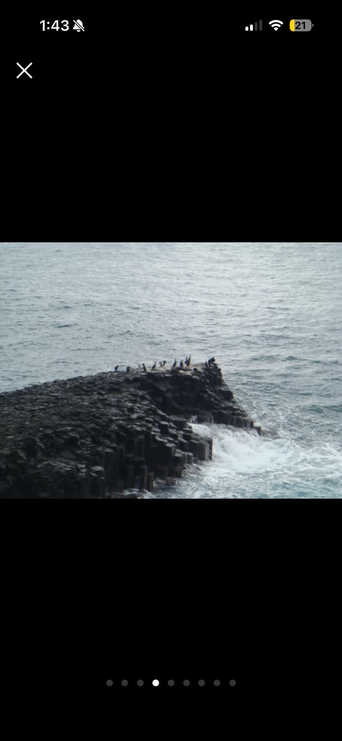 *작례* 소니 사이버샷 dsc t70 풀박스 상품이미지6