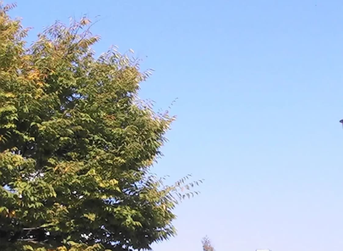 득템가/ 작례 o / Jvc Mg40 빈티지 캠코더 카메라 상품이미지3