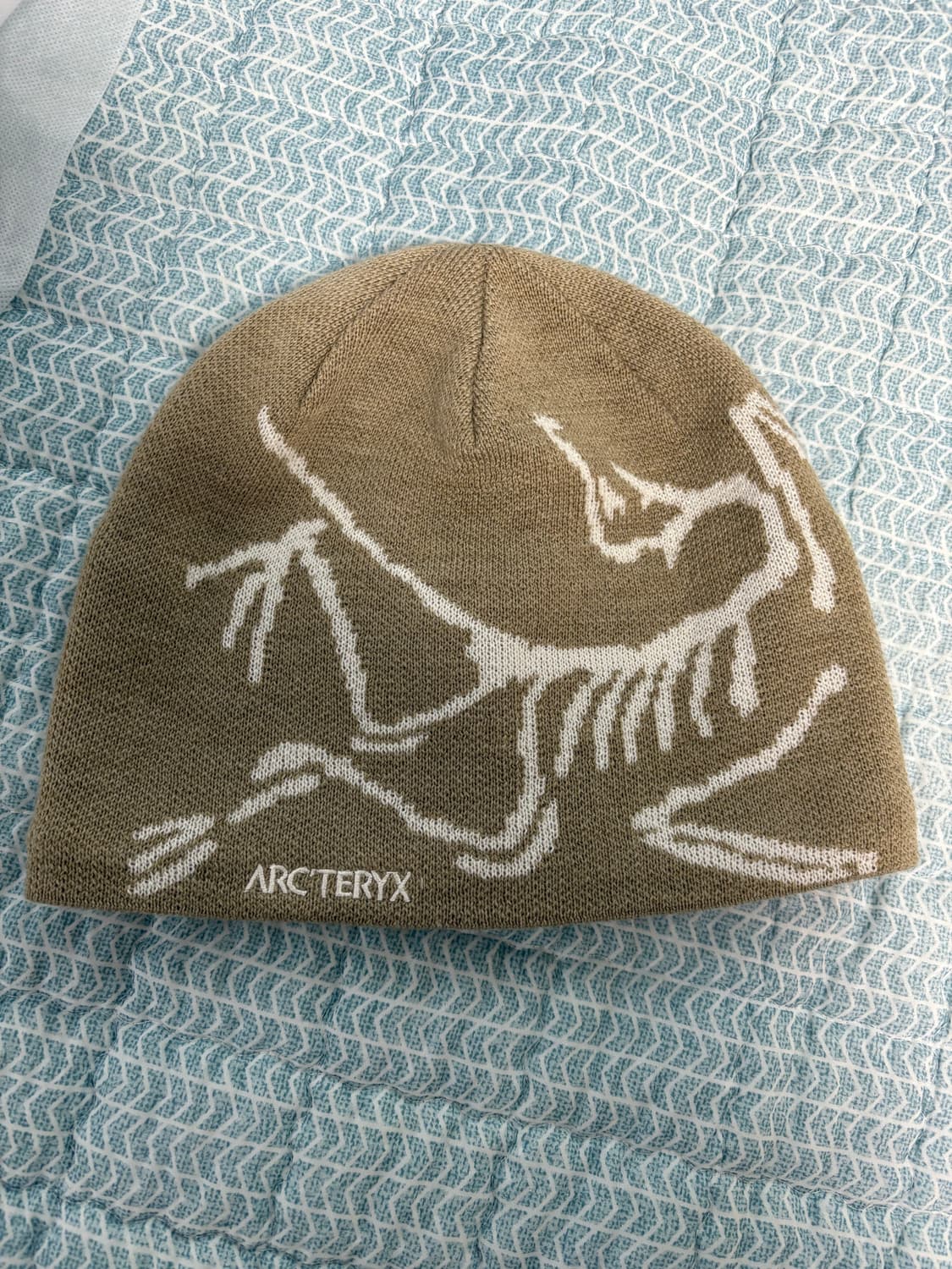 아크테릭스 비니 상품이미지2