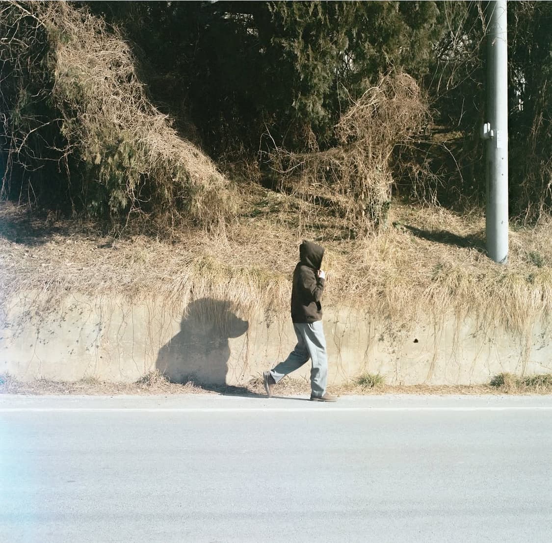 [M] 25aw 가지록 인디고 x 머드다잉 후디 상품이미지9