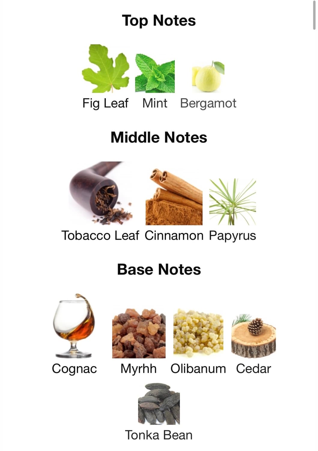 라리끄 옴브레 누아르 향수 100ml 상품이미지6