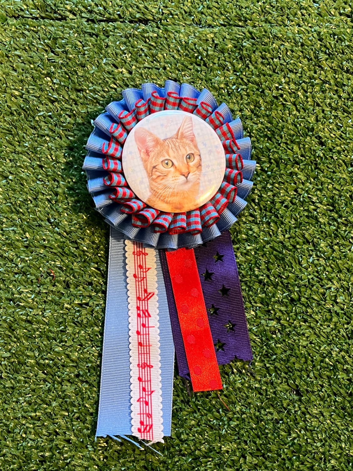 씩씩한 고양이 로제트 🐱 상품이미지4