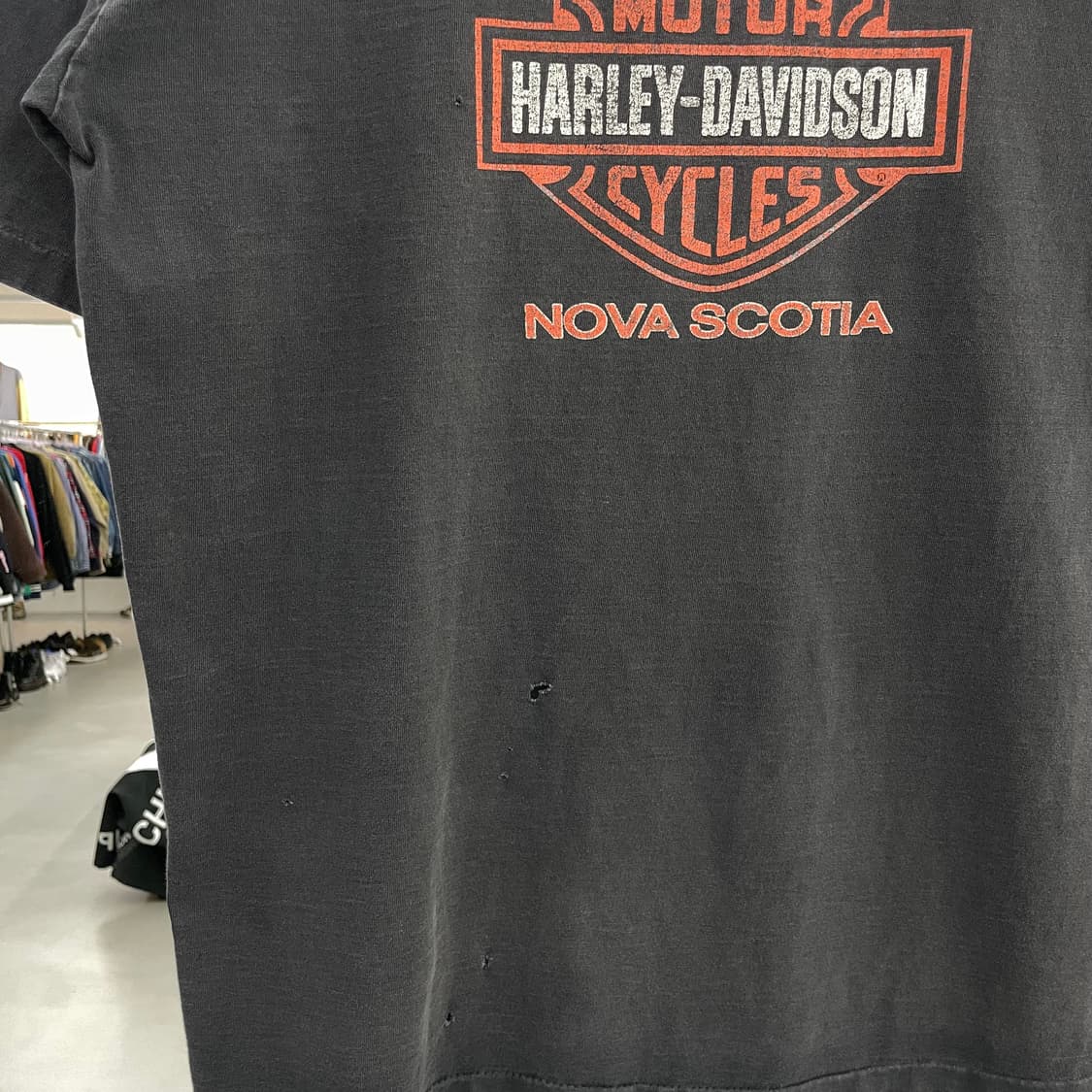 할리데이비슨 00s 하드페이딩 싱글스티치 이글 바이크 빈티지 반팔 티셔츠 상품이미지7