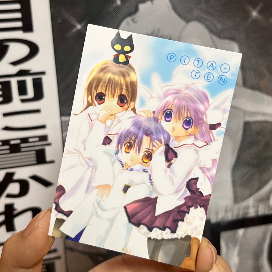 [고전 굿즈] 피타텐 카드  상품이미지1