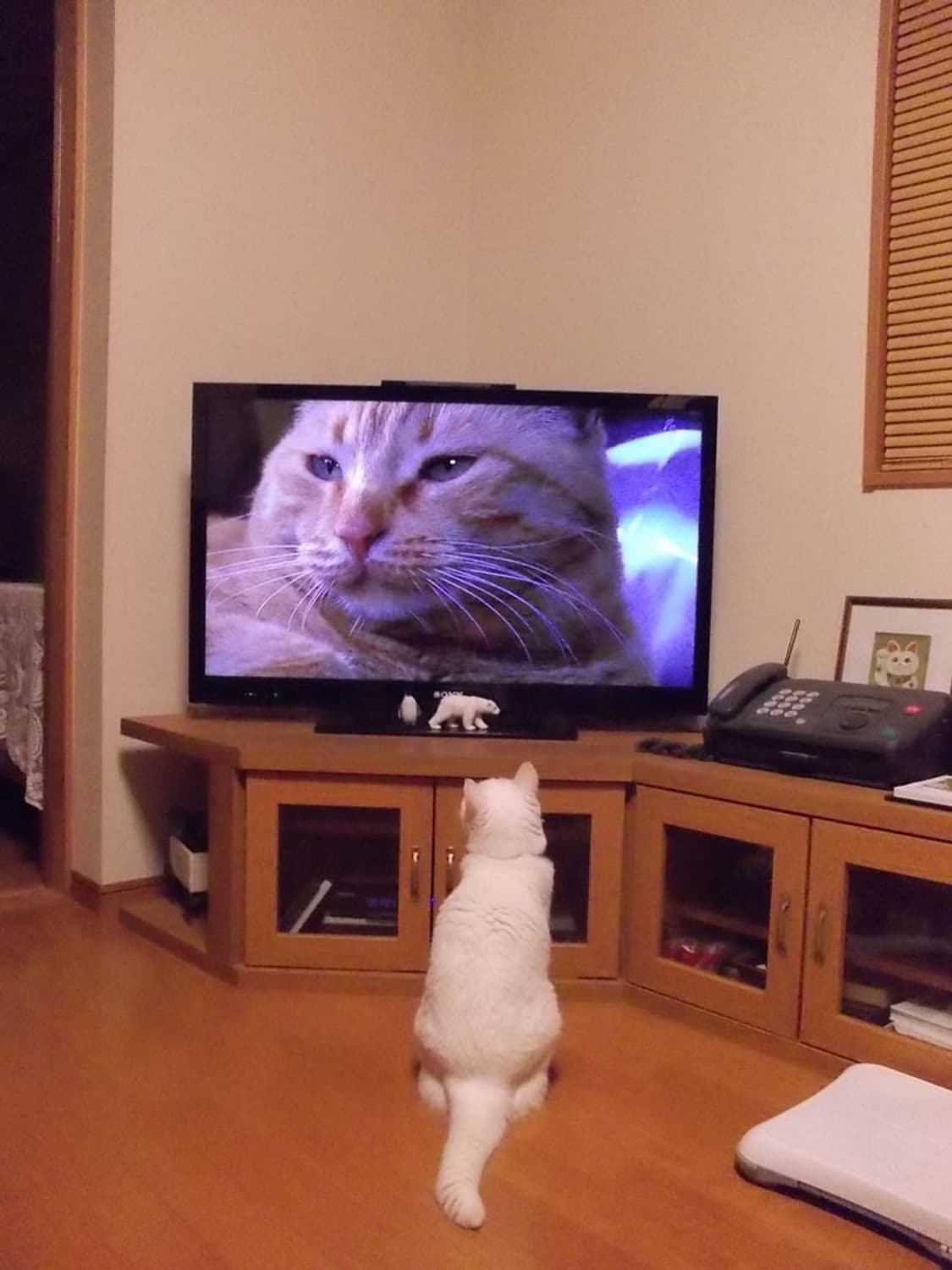 니콘 쿨픽스 Nikon COOLPIX S30 화이트 상품이미지5