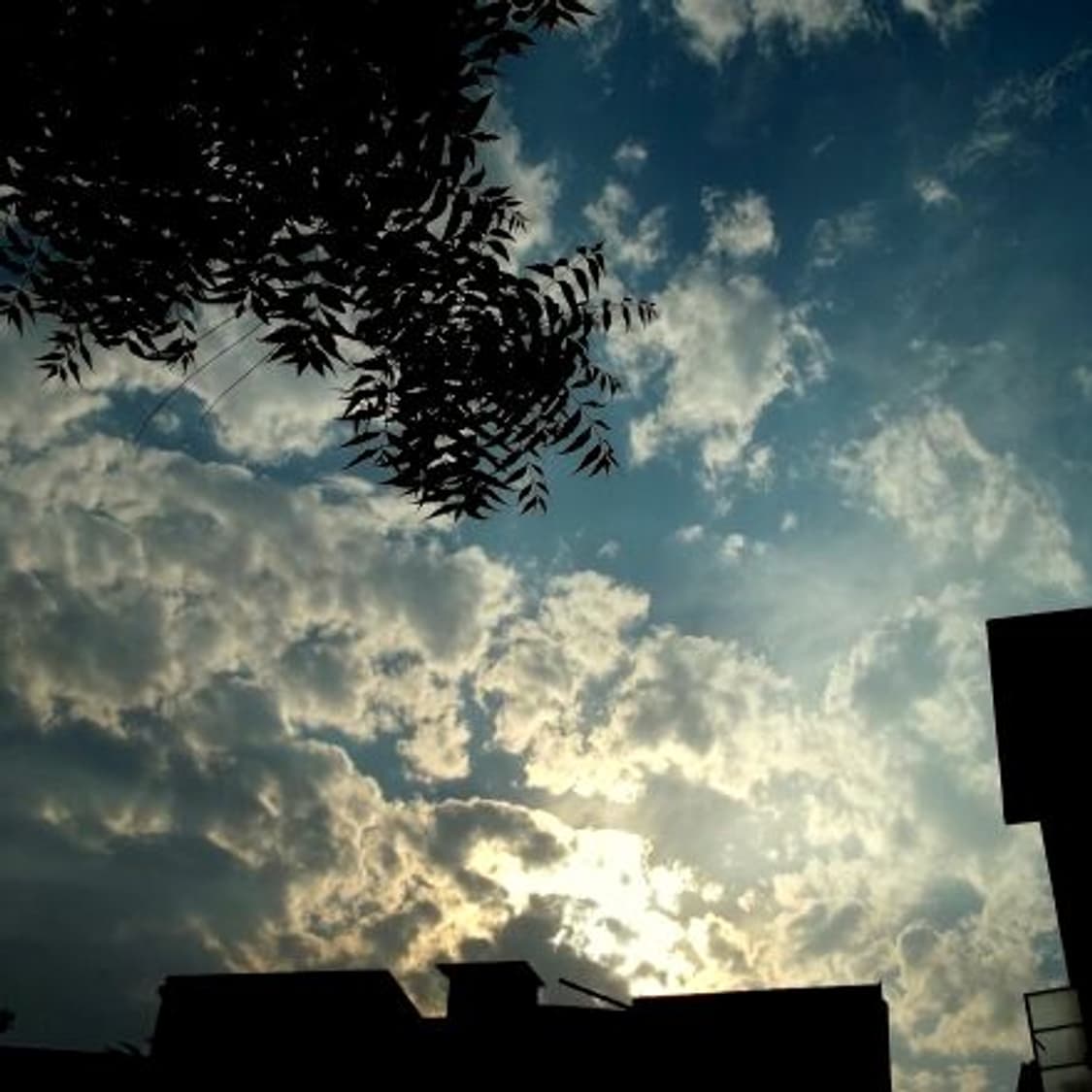 (희귀매물) 코닥 이지쉐어 C195 디카 한글 상품이미지10