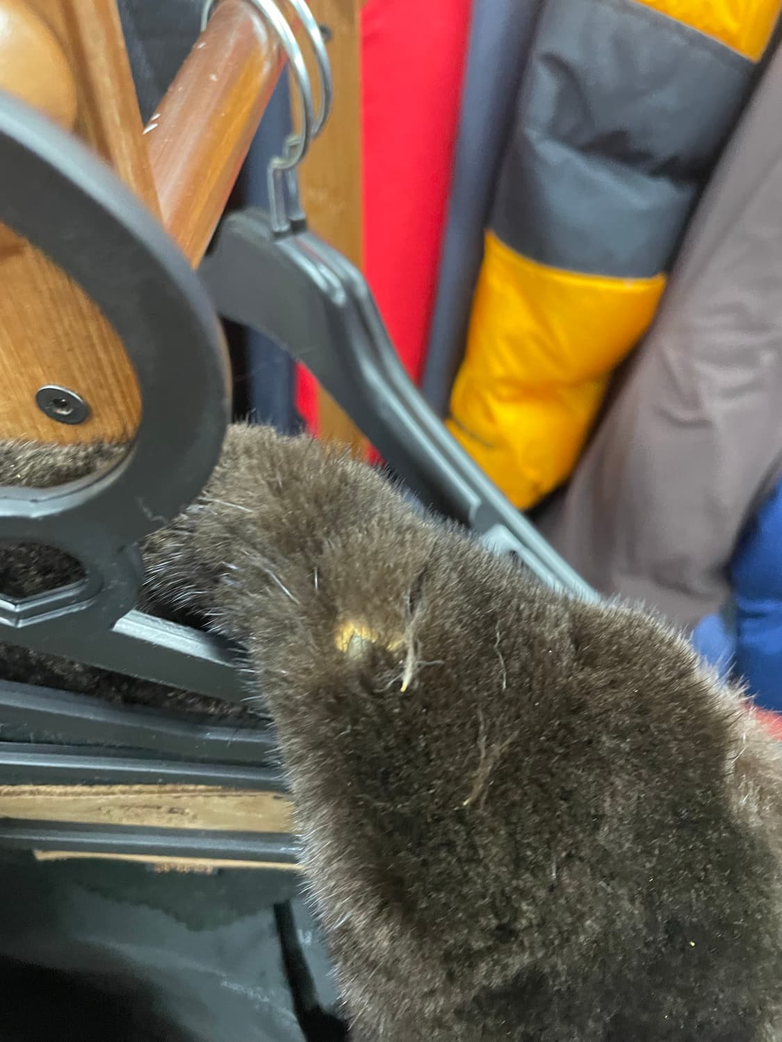 진도무스탕 가죽은깨끗 털하자  상품이미지4