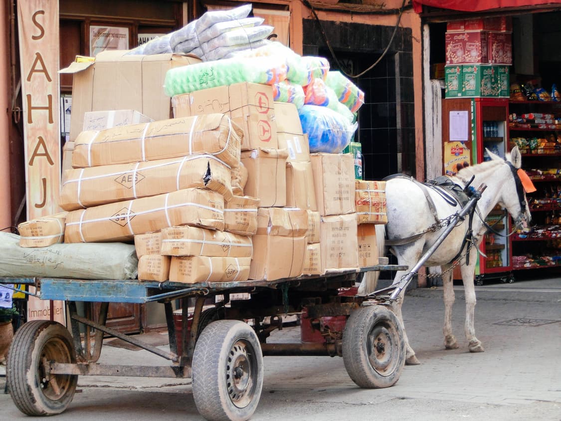 Olympus X-750 (올림푸스 X-750) 상품이미지9