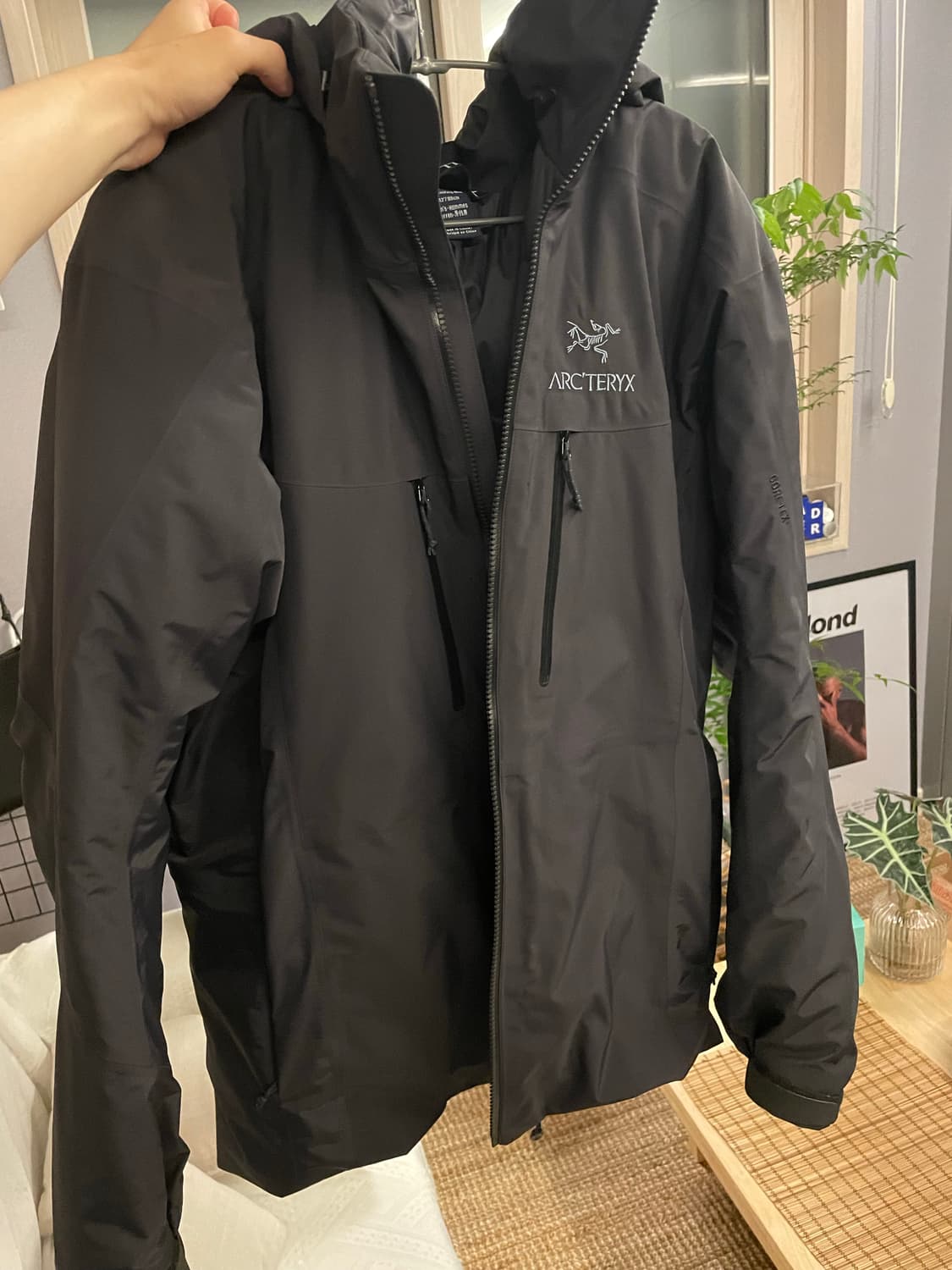 아크테릭스 피션 SV black L 상품이미지2