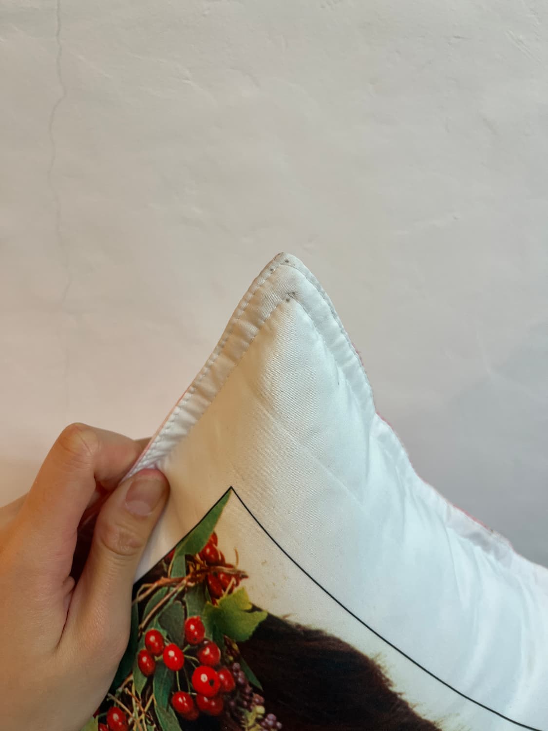 그윽한 눈빛의 권상우 쿠션 ⭐️ 상품이미지4