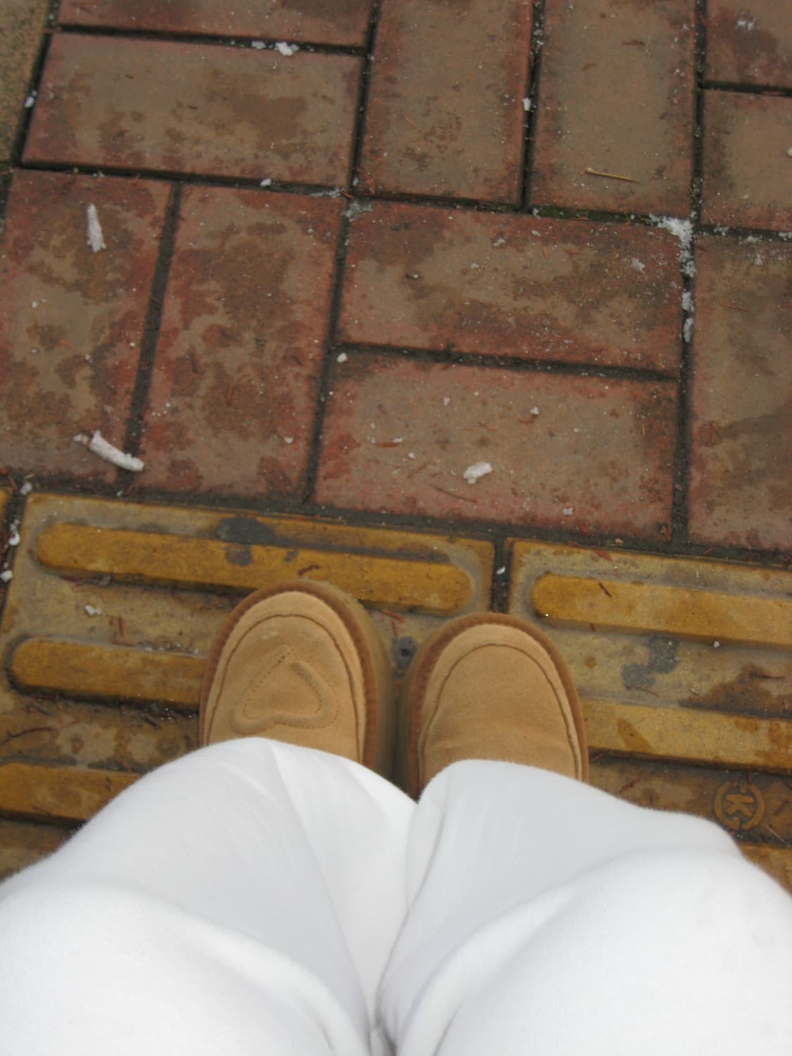 캐논 익서스 70 익시 10 빈티지 카메라 상품이미지7