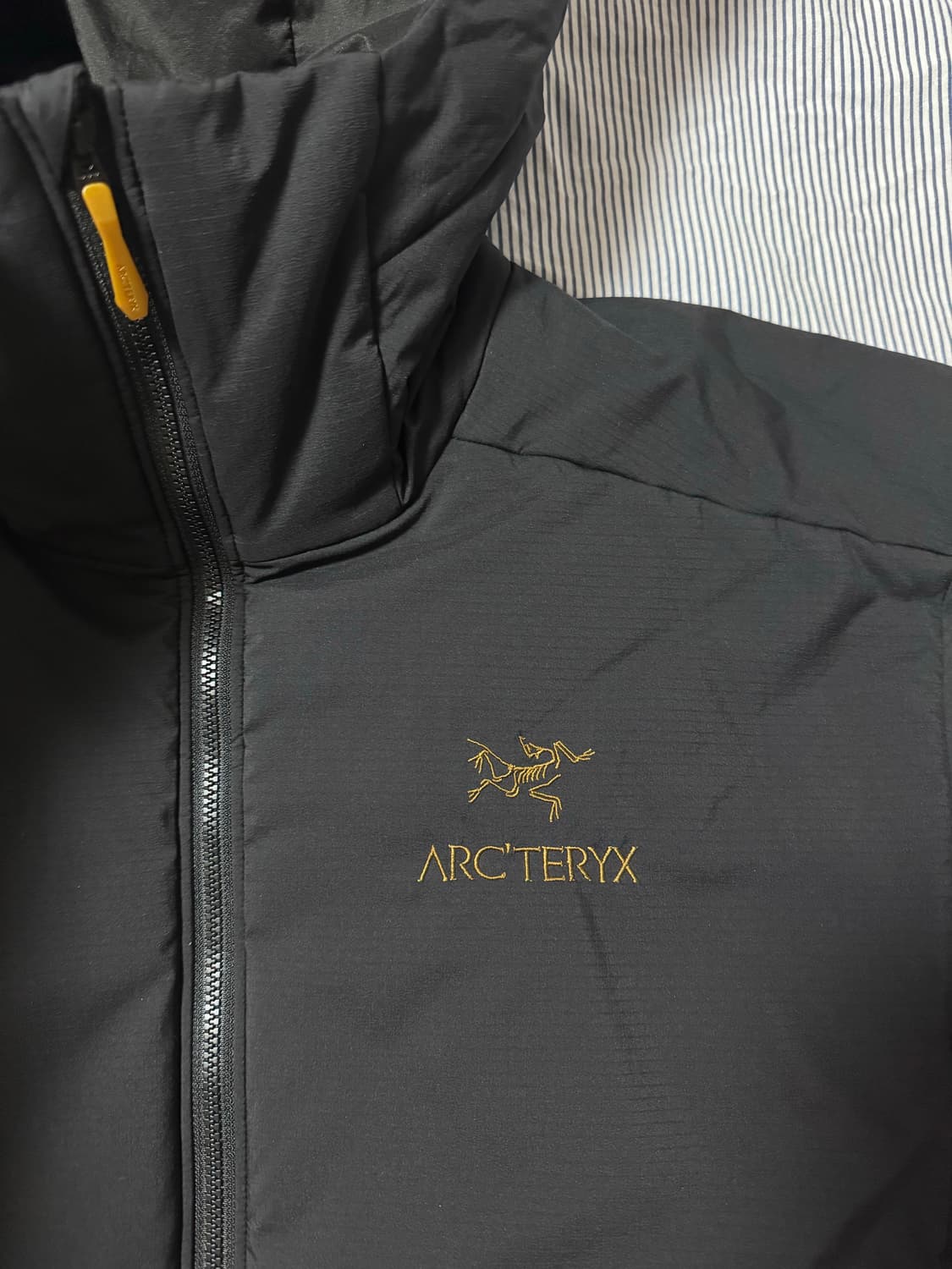 아크테릭스 x 빔즈 아톰 AR 후디 블랙 골드 상품이미지4