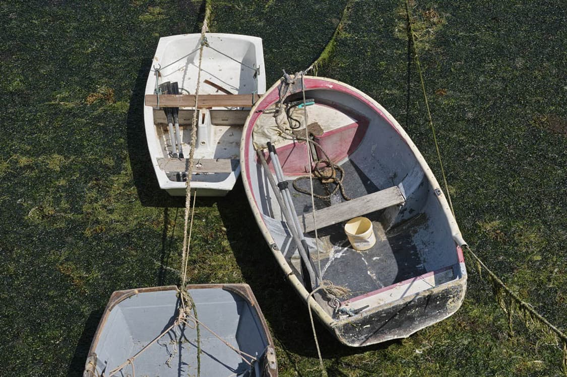 Canon Powershot A530 (캐논 파워샷 A530) 상품이미지8