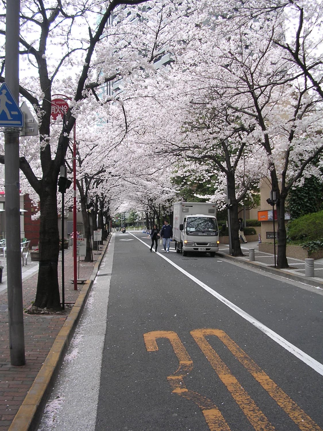 작례O 초소형 디카 니콘 쿨픽스 3100 디지털카메라 빈티지 카메라 상품이미지6