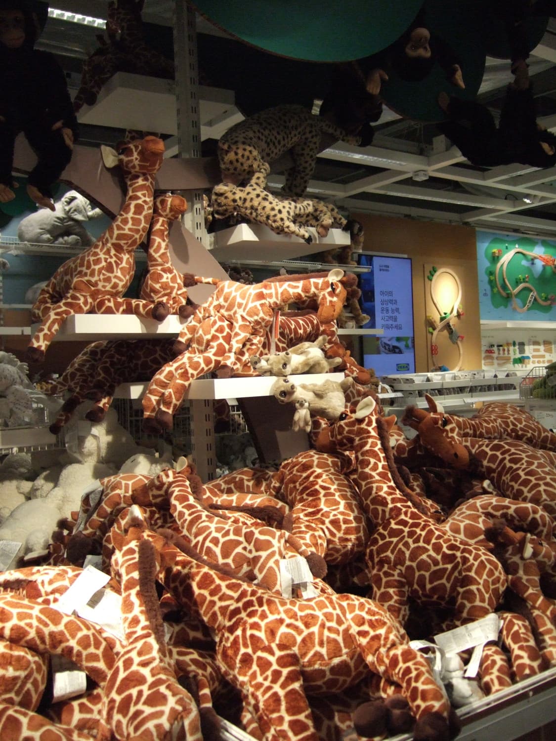 노윤서&풀박) 후지필름 파인픽스 f11 작례🅾️ 상품이미지3