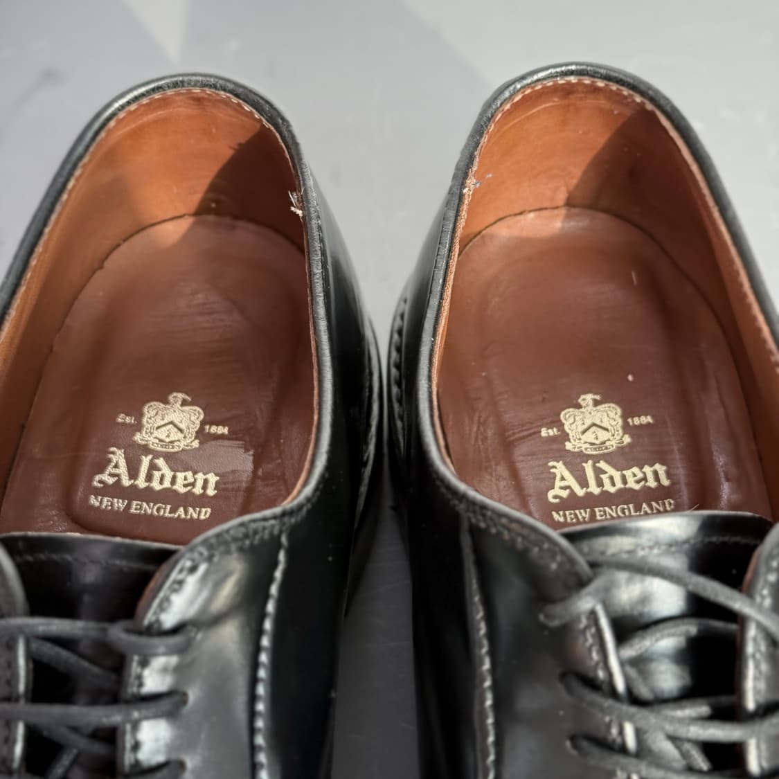 [10.5D] 알든 9901C 블랙 코도반 플레인 토 더비 상품이미지9