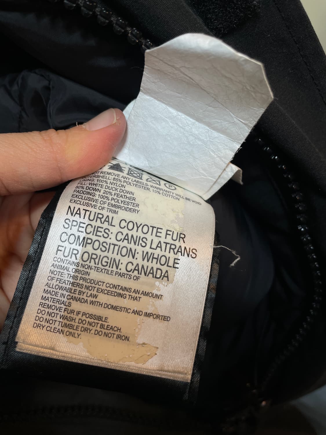 캐나다구스 패딩 상품이미지10