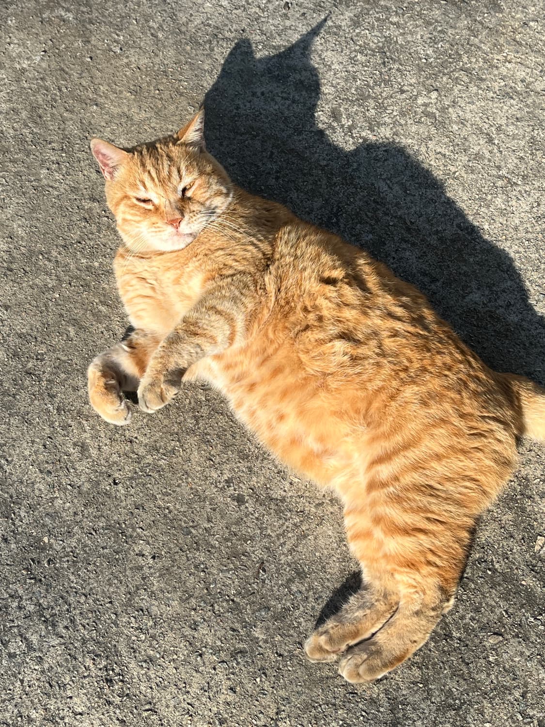 개인결제👾 상품이미지1