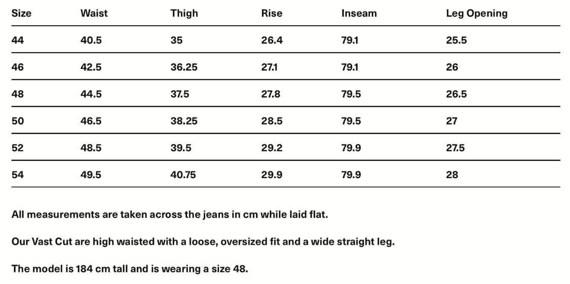 vast cut grey torino stripe denim 상품이미지4