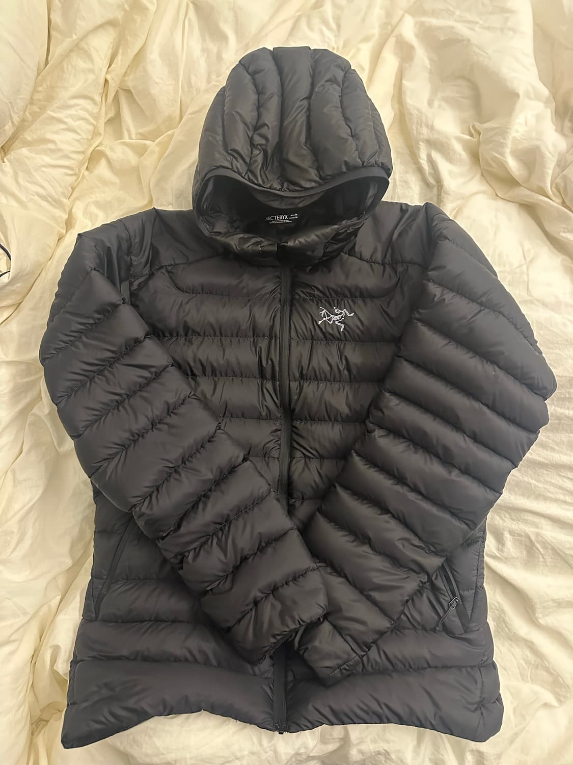 아크테릭스 세륨 후디 블랙 M 상품이미지1