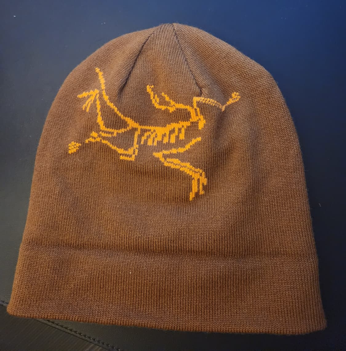 23FW 아크테릭스 울 버드 워드 토크 비니 상품이미지2