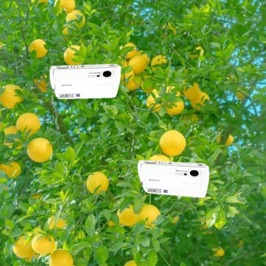 필름색감&희귀!) Sony Cyber-shot T11 디카 카메라 상품이미지1