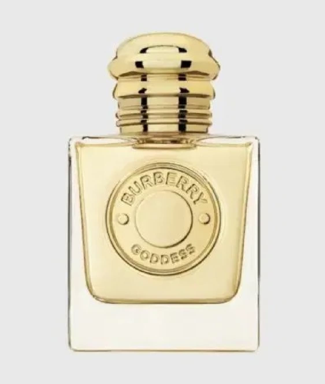 버버리 가디스 오드퍼퓸 100ml 상품이미지2