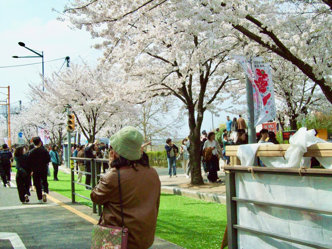 코닥 이지쉐어 C813 빈티지 디지털카메라 상품이미지8