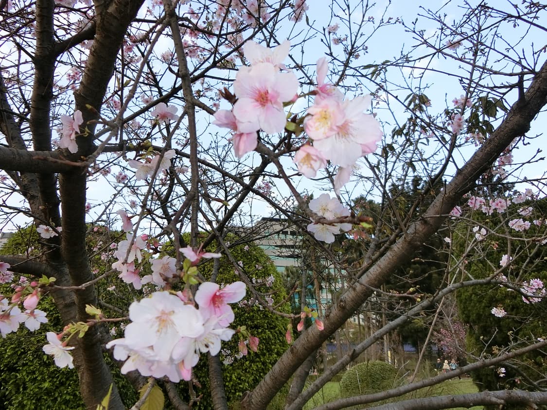 카시오 엑슬림 Casio Exilim EX-ZR1800 디카 디지털카메라 상품이미지10