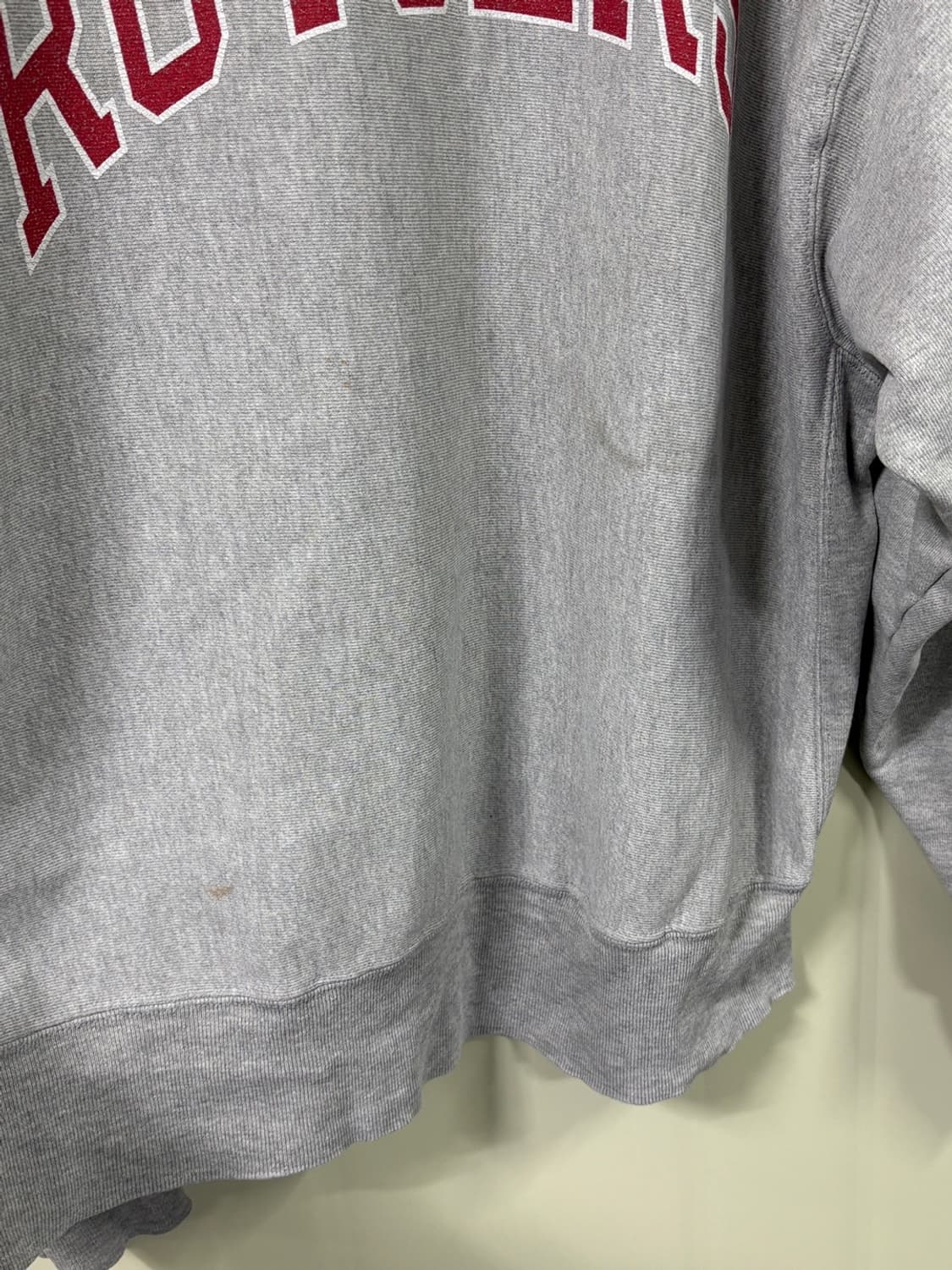 챔피온 리버스위브 스웻셔츠 상품이미지2