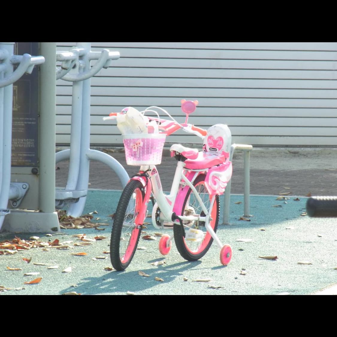 리코 CX3  플럼 퍼플 메탈릭🍇 (품번_BB491) 상품이미지8