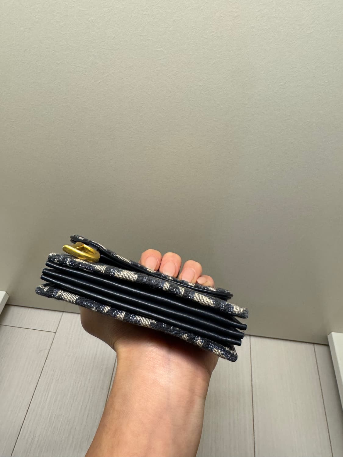 디올 오블리크 새들 지갑 상품이미지7