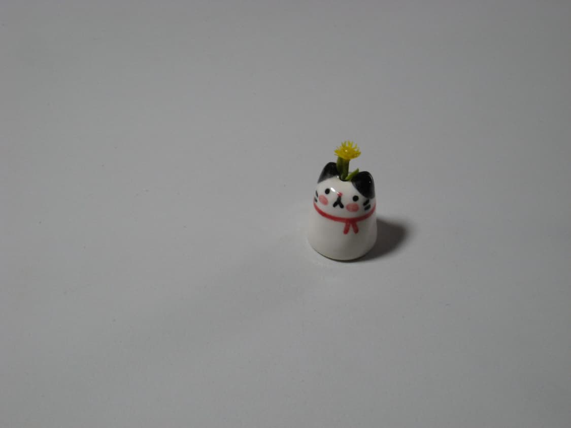 풀박스 캐논 익시 900 IS=익서스 850 (ixus 850) 작례o 상품이미지10