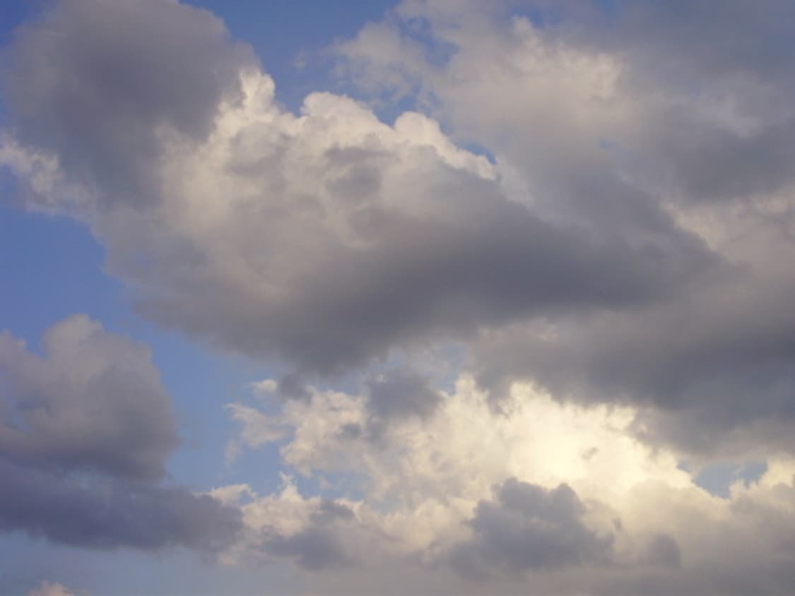 올림푸스 x840 (작례o) 상품이미지4